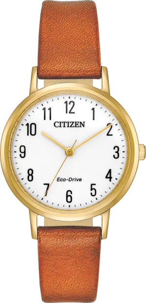 Citizen Eco Drive Chandler Women's Watch EM0572-05A