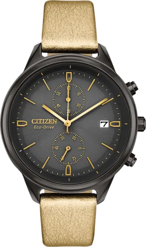 Citizen Eco Drive Chandler Women's Watch FB2007-04H