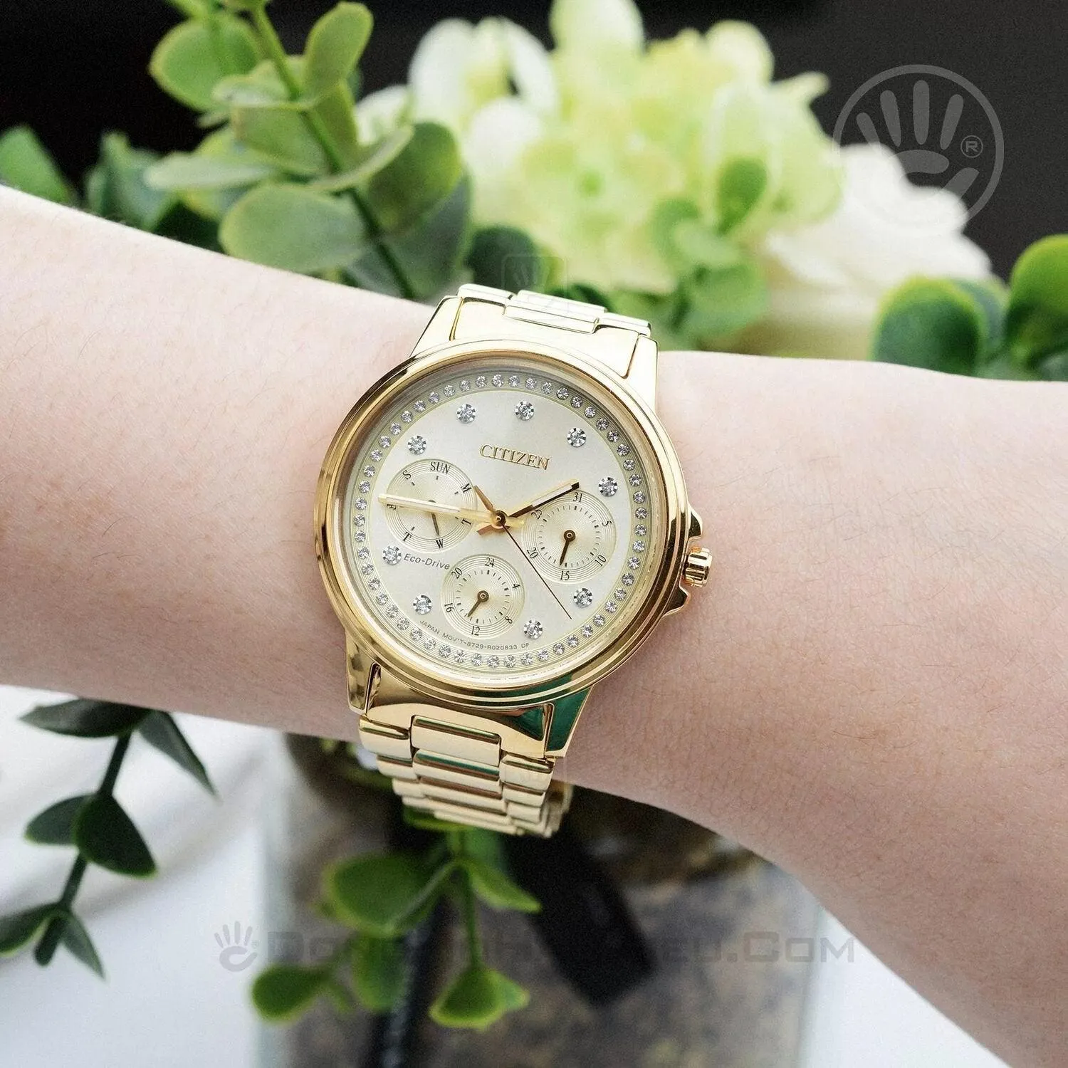 Citizen Eco Drive Chandler Women's Watch FD2042-51P