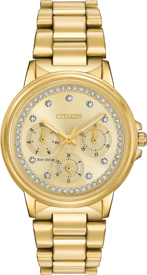 Citizen Eco Drive Chandler Women's Watch FD2042-51P