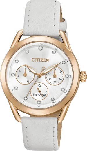 Citizen Eco Drive Ltr (Long-Term Relationship) Women's Watch FD2053-04A