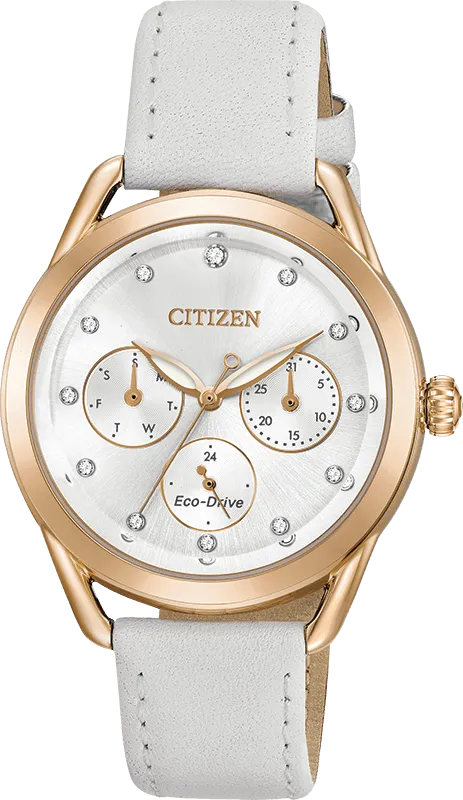 Citizen Eco Drive Ltr (Long-Term Relationship) Women's Watch FD2053-04A