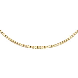 Daniel Wellington Elan Box Chain Necklace Long Gold