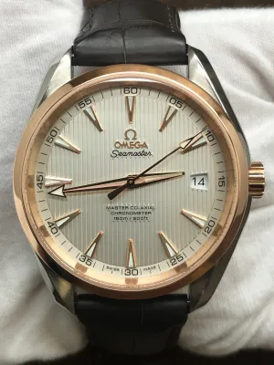 Omega Seamaster Aqua Terra 231.23.42.21.02.001 Silver Dial Automatic Men's Watch