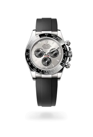 Rolex Cosmograph Daytona in 18 kt white gold, M126519LN-0006 | Walters & Hogsett