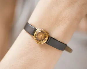 Sunburst case women wristwatch Seagull, gold plated square lady watch vintage, brown dial watch tiny jewelry gift, new premium leather strap
