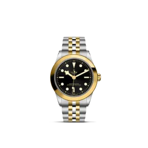 Tudor Black Bay 39 S&G