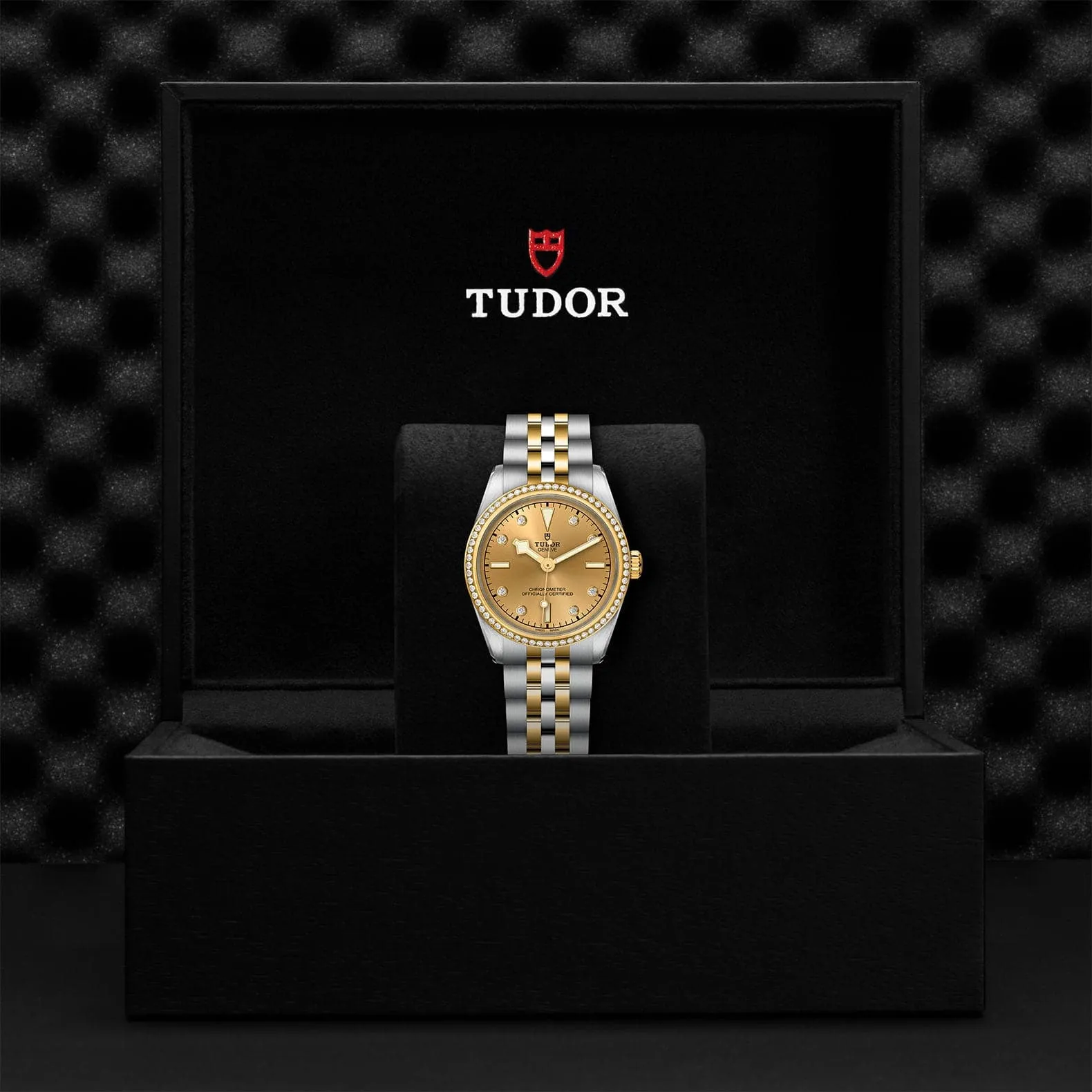 TUDOR Black Bay S&G 31mm Case, Champagne Dial, Steel and Yellow Gold Bracelet (M79613-0007)