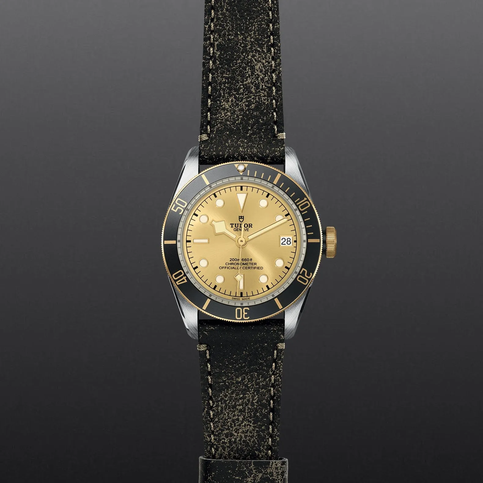 TUDOR Black Bay S&G