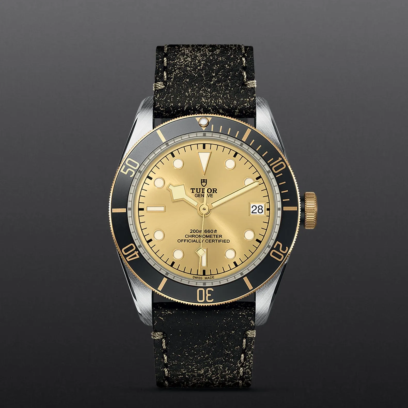 TUDOR Black Bay S&G